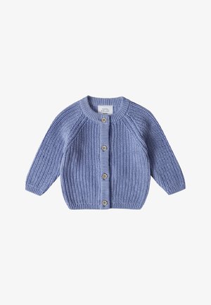 Cardigan lavorato a maglia azzurro chiaro con maniche a raglan, texture a coste, chiusura con cinque bottoni e scollatura rotonda. Presenta bottoni in legno.