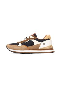 Zapatilla que presenta una combinación de ante marrón y malla negra. Detalles en blanco a los lados, suela gruesa con franjas marrones y blancas.