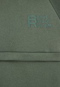 WE Fashion BLUE RIDGE - Mikina s kapucňou - green