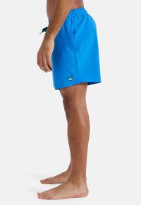 Modré plávajúce šortky s elastickým pásom a šnúrkou, s malou nášivkou loga. Materiál vyzerá hladko a ľahko.