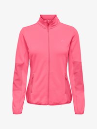 Niet geselecteerd, camellia rose