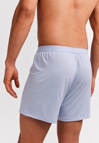 Lichtblauwe herenboxershorts met een zachte textuur, een elastische tailleband en zonder zichtbare patronen, getoond vanuit een achteraanzicht.