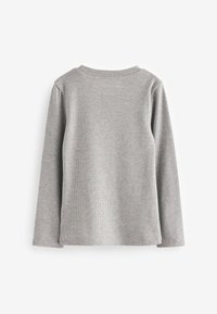 Next Langærmet T-shirt - metallic grey