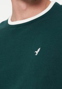 Gros plan d’un pull vert foncé avec un emblème d’oiseau blanc sur la poitrine et une bordure blanche autour de l’encolure.