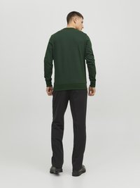 Jack & Jones UNISEX - Sweatshirt - mountain view