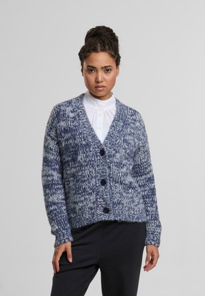 Blue and white marled cardigan with a deep V-neck, five-button closure, and textured knit. Features long sleeves and a relaxed fit.