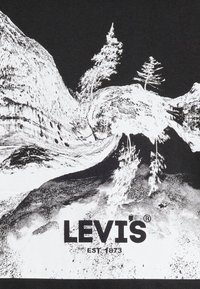 Levi's® RELAXED FIT GRAPHIC TEE - Camiseta básica - logo warped scenic caviar