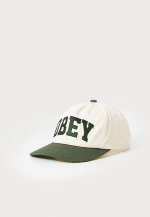 COLLEGIATE 6 PANEL STRAPBACK UNISEX - Pet - cedar multi
