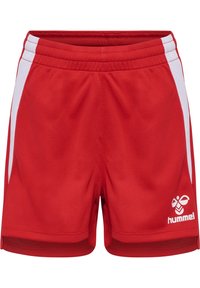 Non sélectionné, true red
