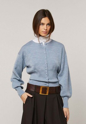 Femme aux cheveux bruns portant un cardigan bleu clair boutonné, une chemise blanche à col montant, un pantalon large foncé et une large ceinture marron avec une boucle dorée.