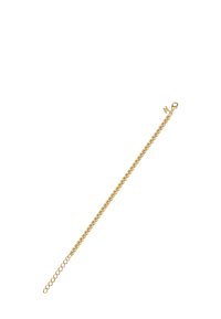 Gold chain bracelet with round links, lobster clasp, and small letter "N" charm near the clasp.