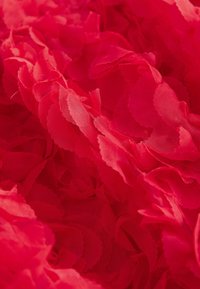 Next 3D  - Cocktailkleid/festliches Kleid - red