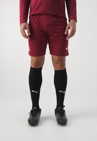 Puma SWITZERLAND SFV REPLICA - Landsholdstrøjer - team regal red/red