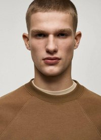 Bruine sweatshirt met een geribbelde ronde hals, met een gladde textuur en raglanmouwen, gedragen over een beige shirt.