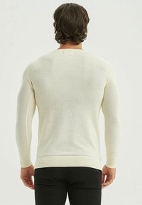 Pull en maille crème clair avec un col rond, des manches longues, des poignets et une taille côtelés, présentant une surface texturée. Vue arrière montrée.