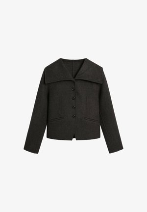 Massimo Dutti, STAND-UP COLLAR SHORT JACKET - Giacca leggera - dark grey