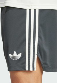 Shorts sportivi grigi realizzati in un tessuto liscio, con tre strisce verticali bianche e un logo ricamato bianco vicino all'orlo.