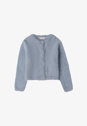 Cardigan azzurro chiaro e soffice con scollatura rotonda, maniche lunghe e quattro bottoni frontali. Tessuto morbido con un taglio leggermente accorciato.