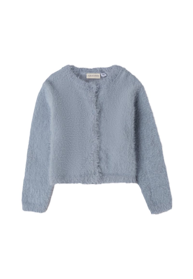 Jasnoniebieski, puszysty kardigan z okrągłym dekoltem, długimi rękawami i czterema guzikami z przodu. Miękka tkanina o lekko skróconym kroju.
