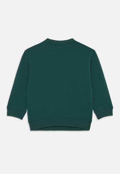 Grüne Sweatshirt mit langen Ärmeln, gerippten Bündchen und Saum, aus weichem Stoff hergestellt, mit Rundhalsausschnitt und glatter Textur.
