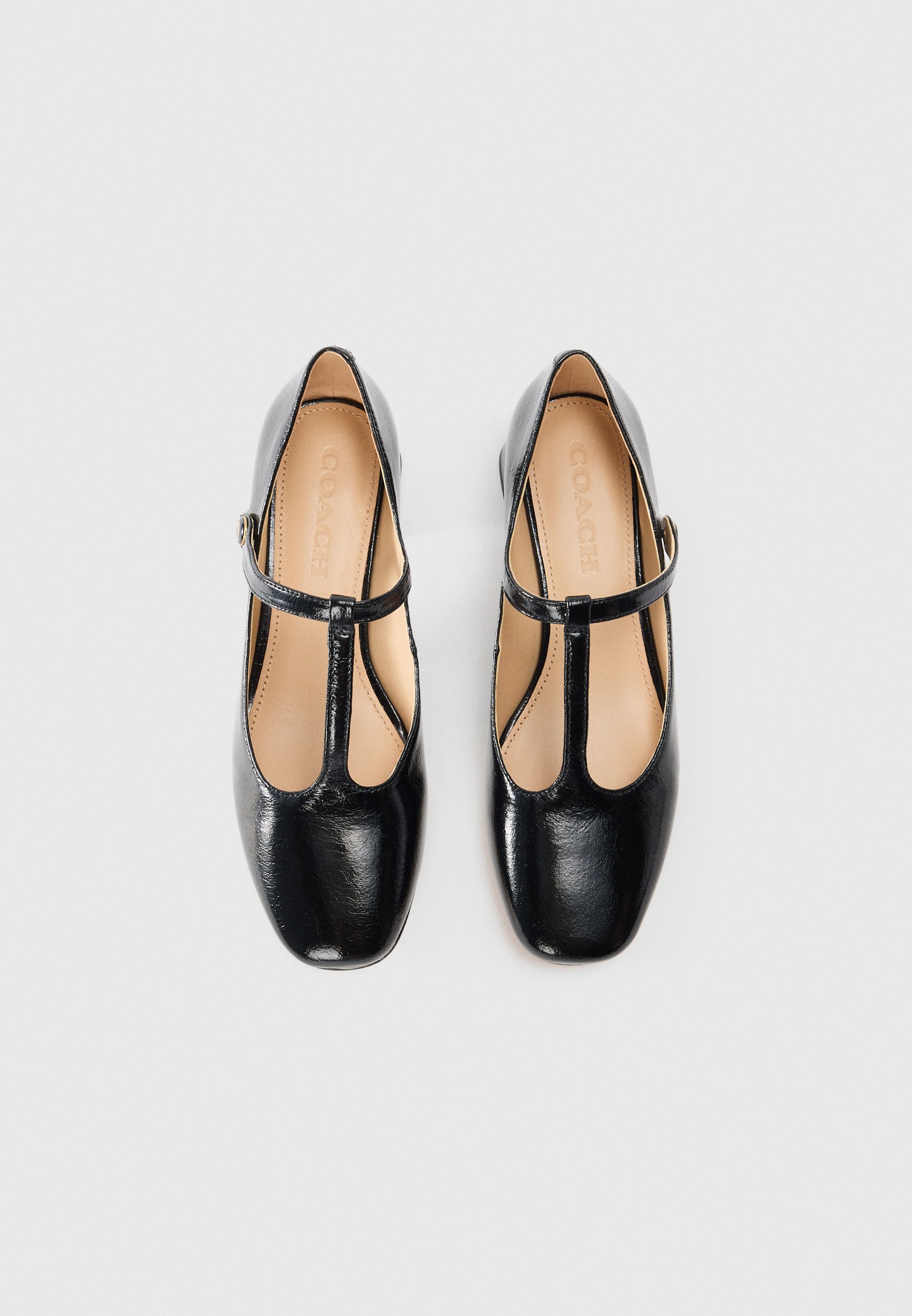 COACH ANGELINA - Classic heels - black - Zalando.co.uk