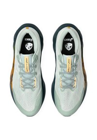 ASICS NOVABLAST 5 TR - Trail running shoes - nature bathing   lichen rock