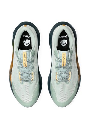 Classificação 3: ASICS - NOVABLAST 5 TR - Sapatilhas de trail running