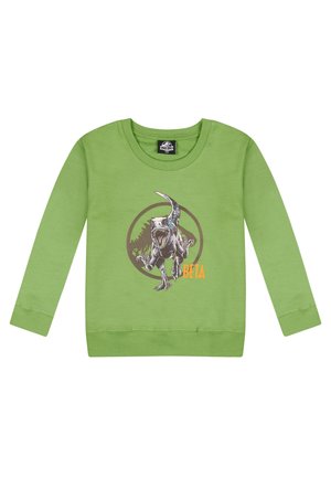 Felpa verde a maniche lunghe con grafica di un dinosauro e testo "BETA" in arancione, con un accento nero rotondo dietro il design.