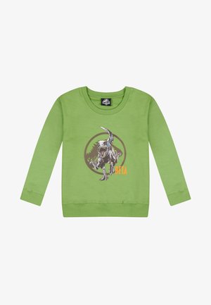 Grüner Langarm-Sweatshirt mit einem Dinosaurier-Print und orangefarbener "BETA"-Schriftzug, dahinter mit einem runden schwarzen Akzent.
