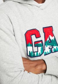 Grau Hoodie mit einem Front-Graphic, das die fetten roten, grünen und blauen Buchstaben "GA" zeigt, sowie bestickten Details von Bergen und Wäldern.