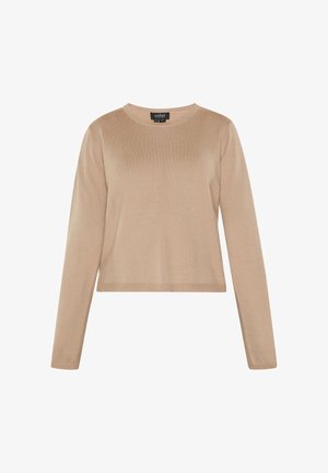 Pulover bej cu mâneci lungi, realizat dintr-un material tricotat moale, cu un gât rotund și tiv dantelat, având o croială lejeră și un design minimalist.