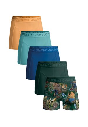 5-PACK SOLID - Alsónadrágok - print green blue orange