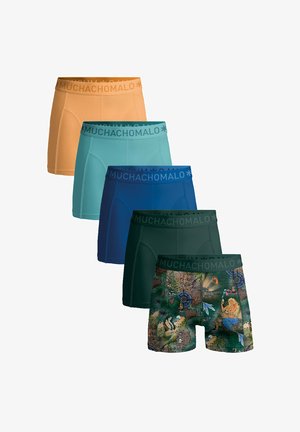 MUCHACHOMALO 5-PACK SOLID - Alsónadrágok - print green blue orange