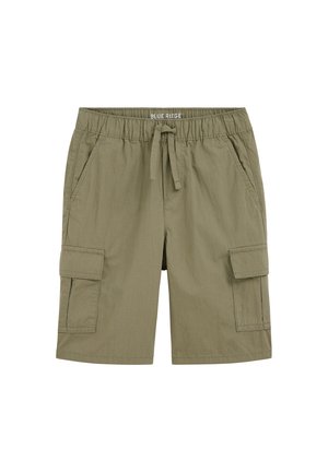 BLUE RIDGE - Kratke hlače - army green