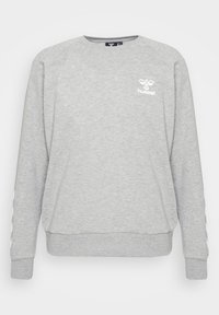 Felpa grigia realizzata in morbido tessuto, con scollo rotondo, maniche lunghe e un piccolo logo bianco sul petto, accompagnato da dettagli decorativi sulle maniche.