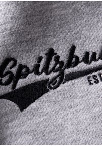 Spitzbub LUKAS - Zip-up sweatshirt - grau