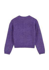 Violets adīts džemperis ar garām piedurknēm, apaļu apkakli un teksturētu apdari. Aizmugurē ir īsāks siluets un ribota apmale.