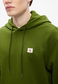Hanorac verde din bumbac, cu glugă și șnur, având un mic logo pătrat în colțul stâng sus, cu accente roșii și albe. Textură netedă.