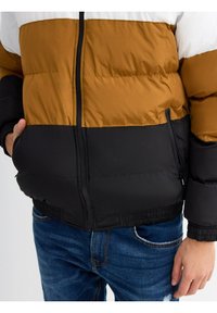INSIDE Chaqueta de invierno - black