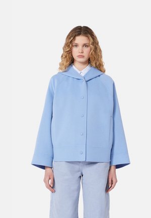 Giovane con capelli biondi ricci che indossa una giacca azzurra con bottoni e maniche larghe e jeans azzurri, rivolto in avanti.