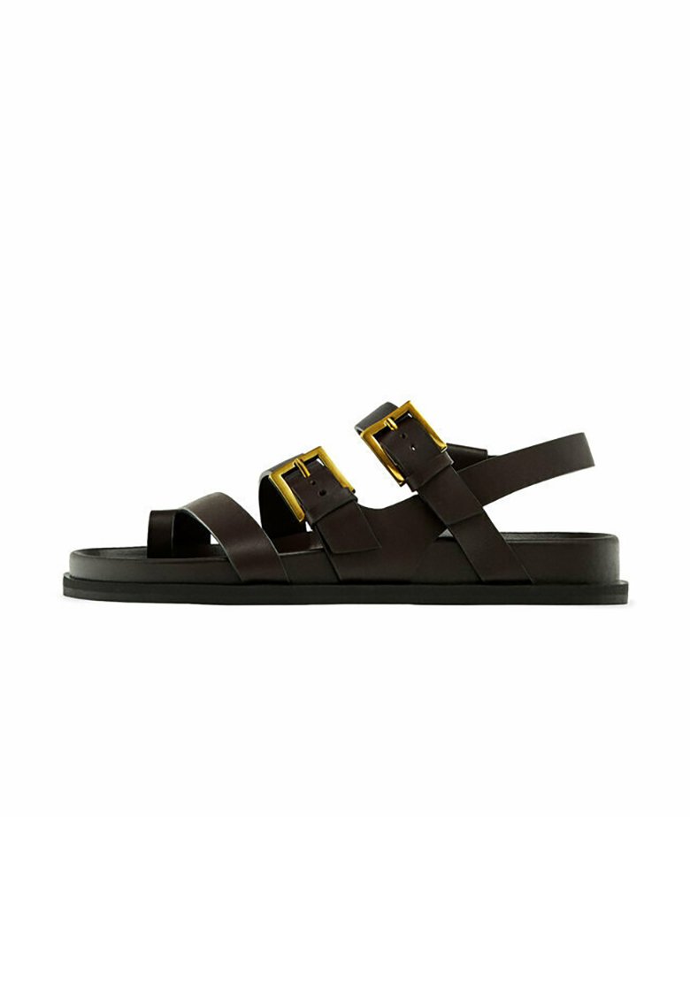 Massimo Dutti WITH BUCKLES - Riemensandalette - dark brown  