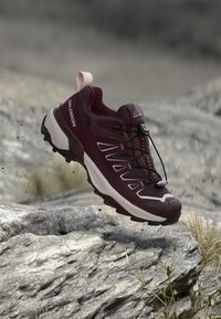 Δεν επιλέχθηκε, huckleberry/maroon banner/icy pink