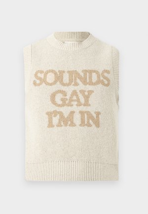 Rankovių megztinis šviesiai baltos spalvos su apvalia iškirpte ir ribbingo audinio apačia. Ant jo yra smėlio spalvos tekstas "SOUNDS GAY I'M IN."