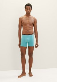 TOM TAILOR LONG PANTS 4 PACK - Uske bokserice - green/medium horizontal stripe