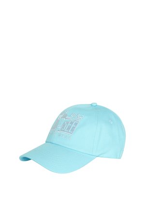 Light blue baseball cap with curved brim, featuring white embroidered text and graphic on front panel.