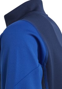 Blauw en marineblauwe sportshirt met een hoge kraag. Beschikt over een gladde textuur en contrasterende stofsecties met zichtbare stiksels.