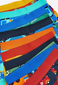 Kleurrijke kinderlijke ondergoed met uiteenlopende elastische taillebanden in geel, blauw, oranje, rood, groen en patronen met dieren en voertuigen.