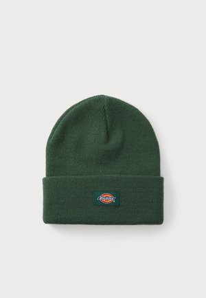 Bonnet en tricot vert avec un revers replié et une étiquette rectangulaire arborant le logo "Dickies" avec des accents rouge, jaune et bleu.