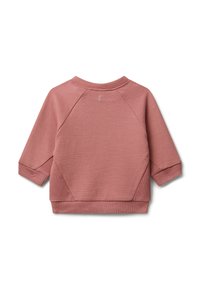 Vista posteriore di una felpa per bambino in rosa tenue, con maniche raglan lunghe e polsini e orlo a coste, su sfondo bianco.