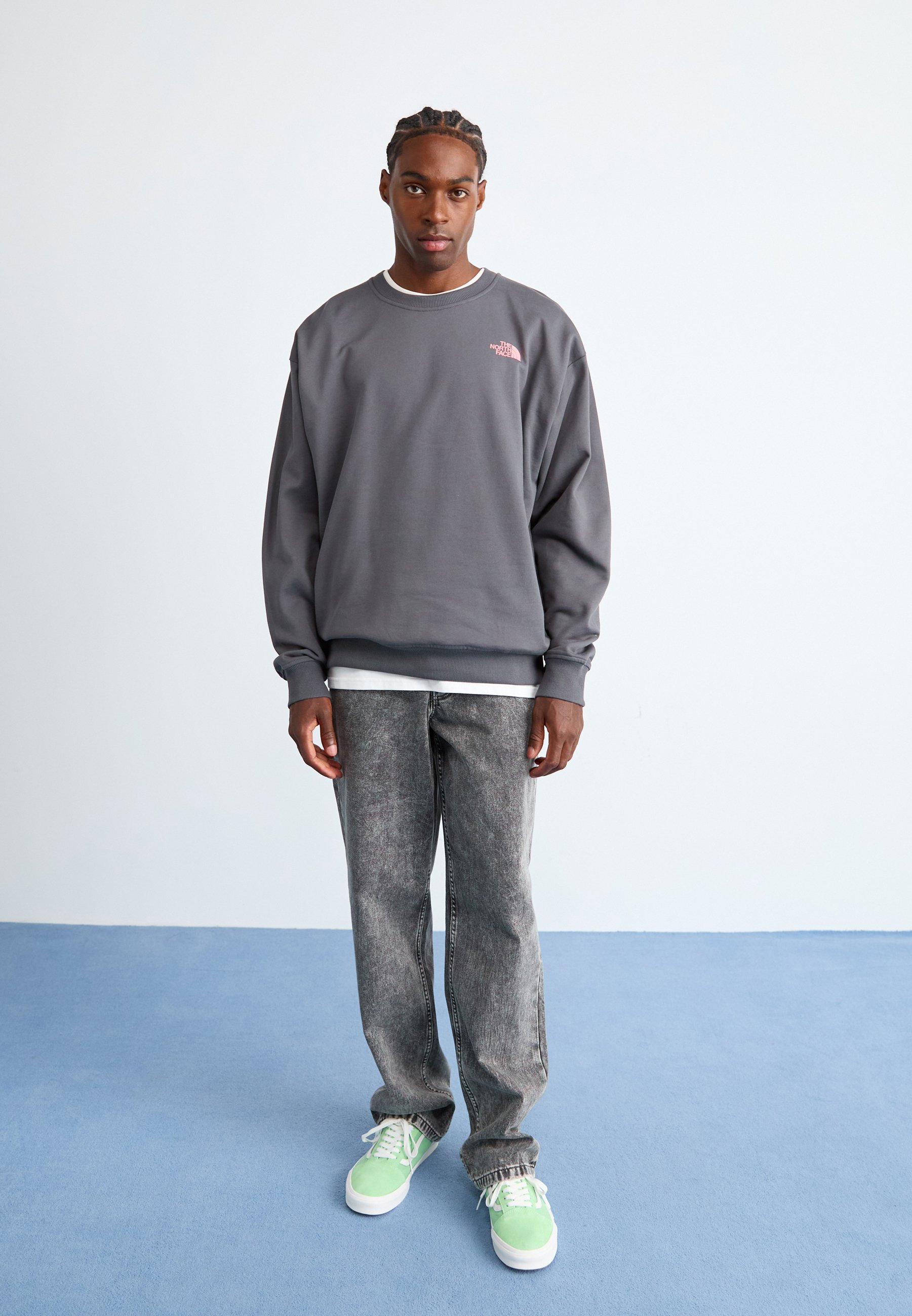 The North Face EXPEDITION CELEBRATION OVERSIZED CREW GRAPHIC